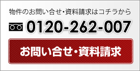 䤤礻